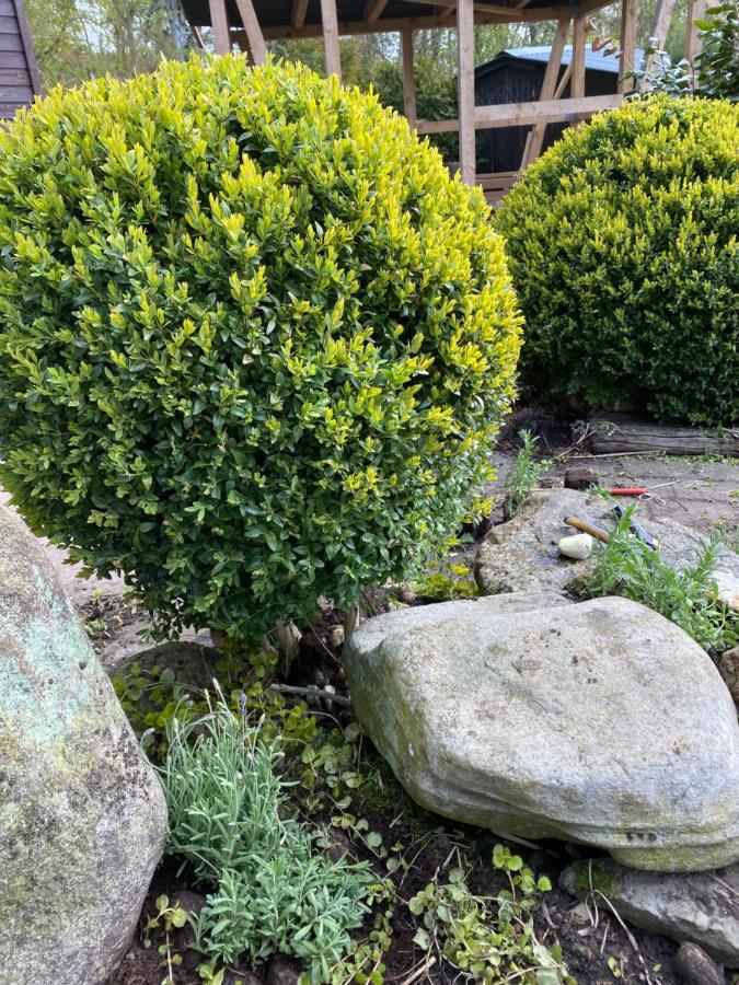 Nordseevilla Jade Schweiburg 외부 사진